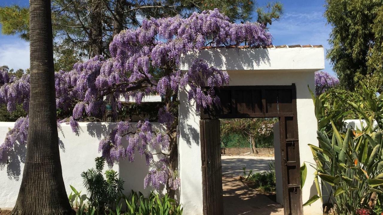 Roca Verde, Boutique Bed & Breakfast (Adults Only) Alhaurín de la Torre Exterior foto